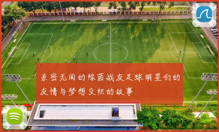 亲密无间的绿茵战友足球明星们的友情与梦想交织的故事