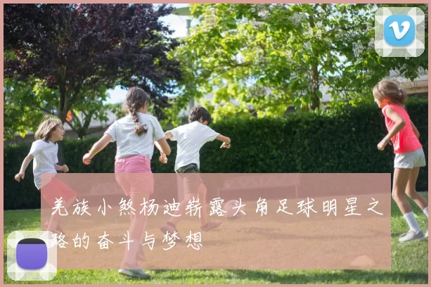 羌族小煞杨迪崭露头角足球明星之路的奋斗与梦想