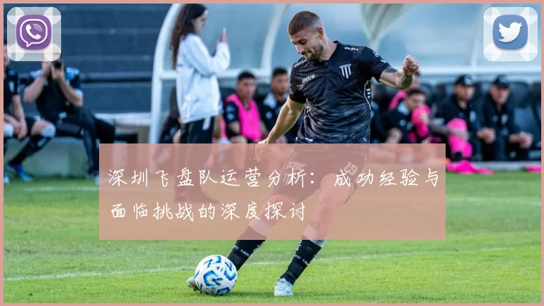 深圳飞盘队运营分析：成功经验与面临挑战的深度探讨