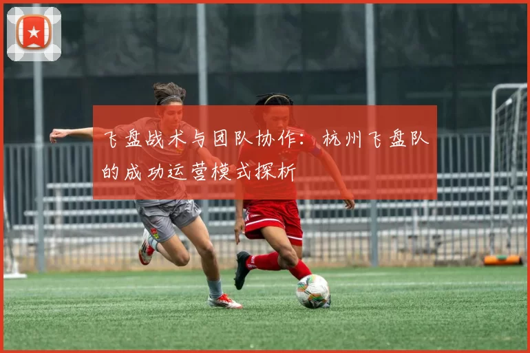 飞盘战术与团队协作：杭州飞盘队的成功运营模式探析