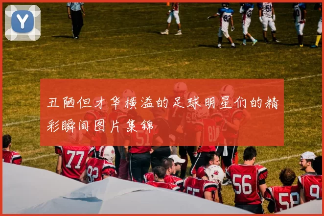 丑陋但才华横溢的足球明星们的精彩瞬间图片集锦