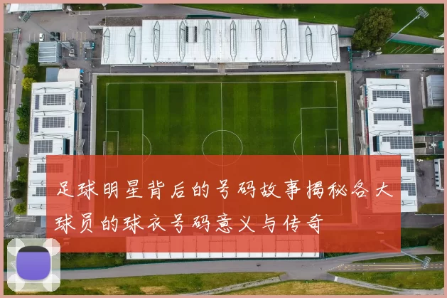 足球明星背后的号码故事揭秘各大球员的球衣号码意义与传奇