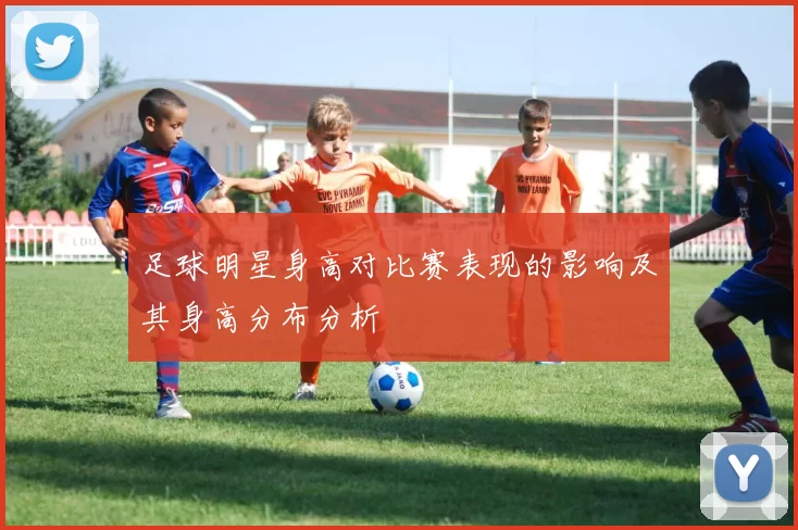 足球明星身高对比赛表现的影响及其身高分布分析