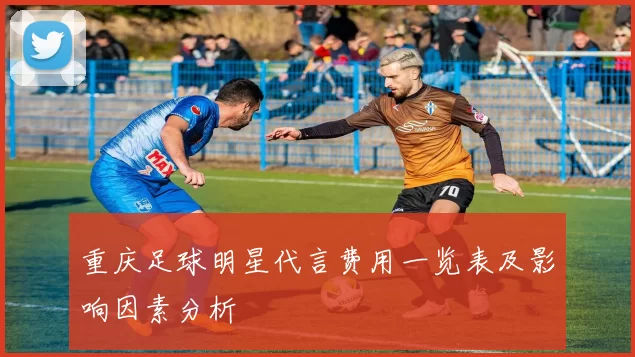 重庆足球明星代言费用一览表及影响因素分析