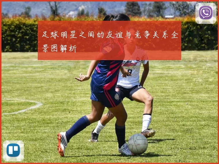 足球明星之间的友谊与竞争关系全景图解析