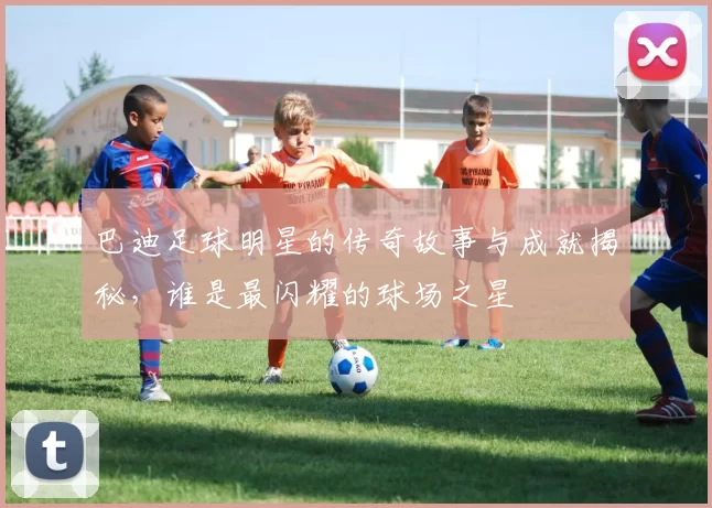巴迪足球明星的传奇故事与成就揭秘，谁是最闪耀的球场之星
