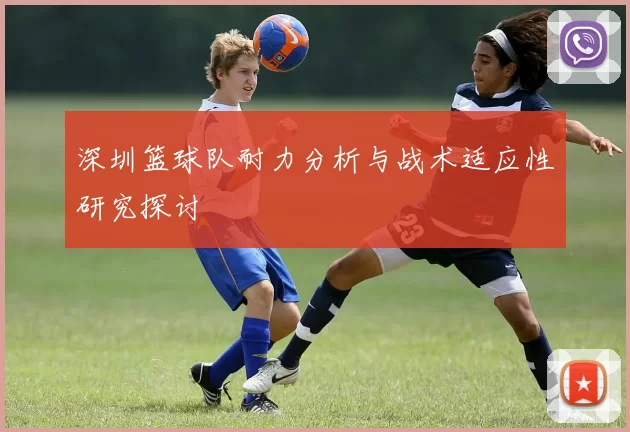 深圳篮球队耐力分析与战术适应性研究探讨