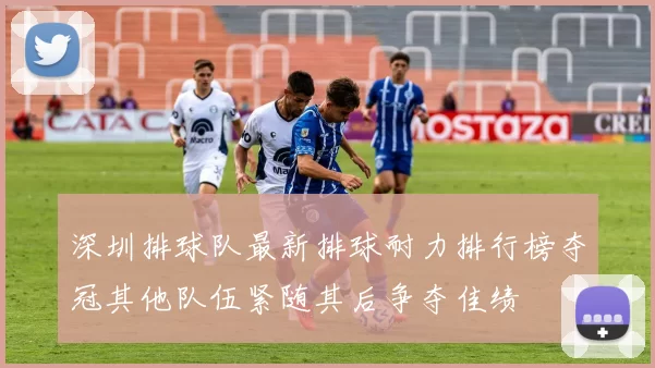 深圳排球队最新排球耐力排行榜夺冠其他队伍紧随其后争夺佳绩