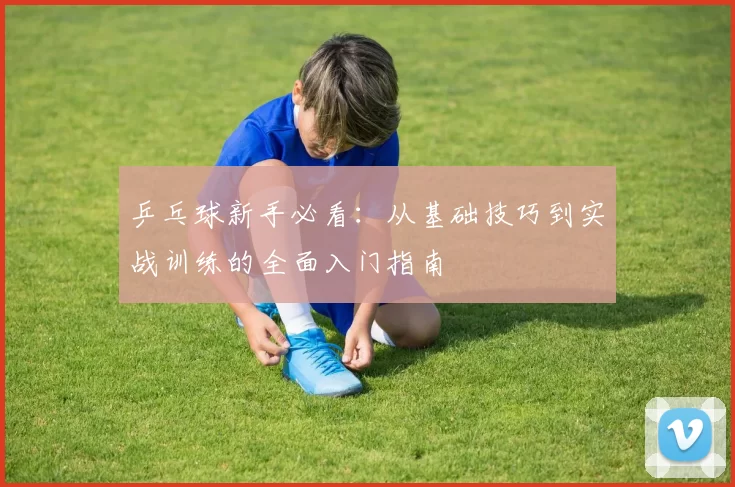 乒乓球新手必看：从基础技巧到实战训练的全面入门指南