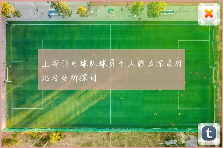 上海羽毛球队球员个人能力深度对比与分析探讨