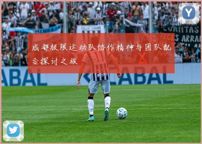 成都极限运动队协作精神与团队配合探讨之旅