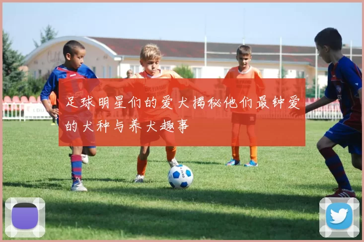 足球明星们的爱犬揭秘他们最钟爱的犬种与养犬趣事