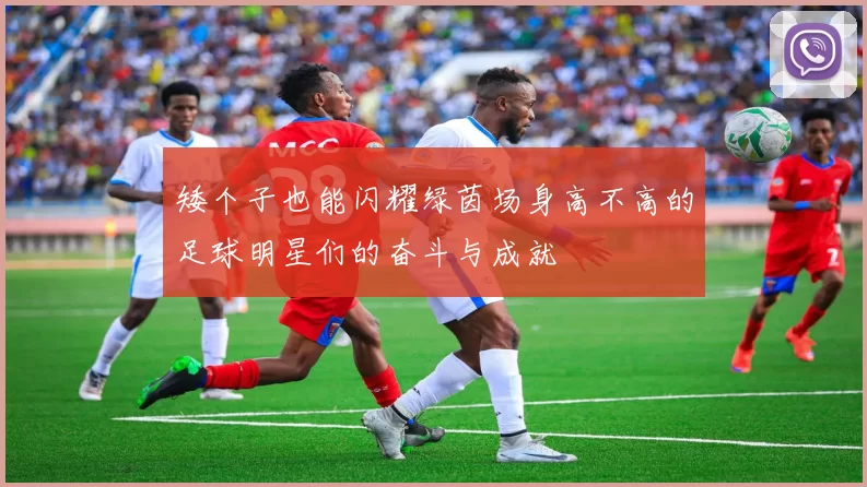 矮个子也能闪耀绿茵场身高不高的足球明星们的奋斗与成就