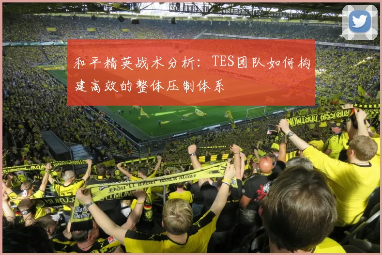 和平精英战术分析：TES团队如何构建高效的整体压制体系