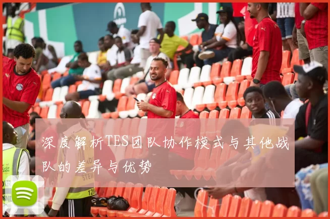 深度解析TES团队协作模式与其他战队的差异与优势