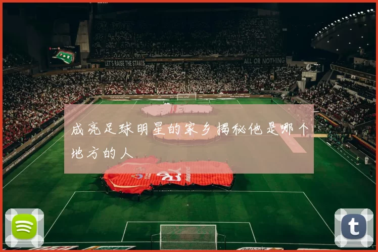 成亮足球明星的家乡揭秘他是哪个地方的人