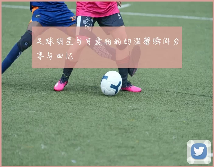 足球明星与可爱狗狗的温馨瞬间分享与回忆