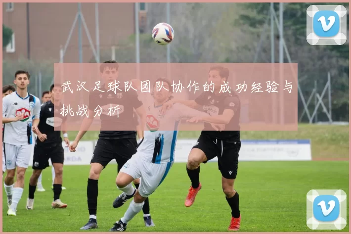 武汉足球队团队协作的成功经验与挑战分析
