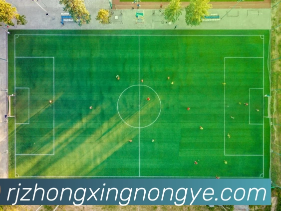 爱游戏体育官网平台生态图