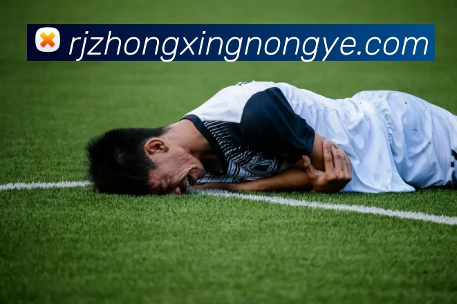 奖项2