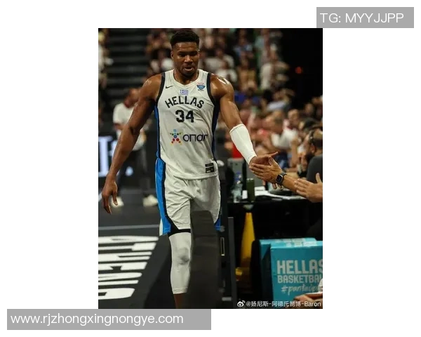 字母哥足球场上驰骋高清壁纸展示，尽显力量与技巧的完美结合